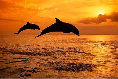 《哥谭骑士》PC特色预告 支持超宽屏、DLSS2和光追