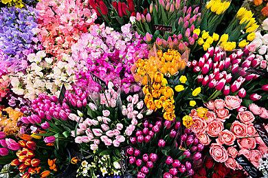 索尼日本工作室Asobi招募大量人手 或有大动作